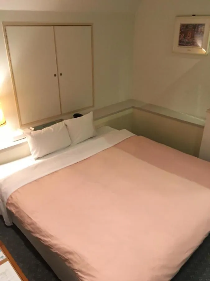Hotel Noel Tokyo 3*,